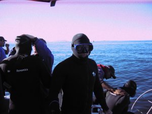 shark painter,save sharks,shark diving