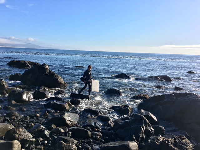 Jean Francois the shark painter